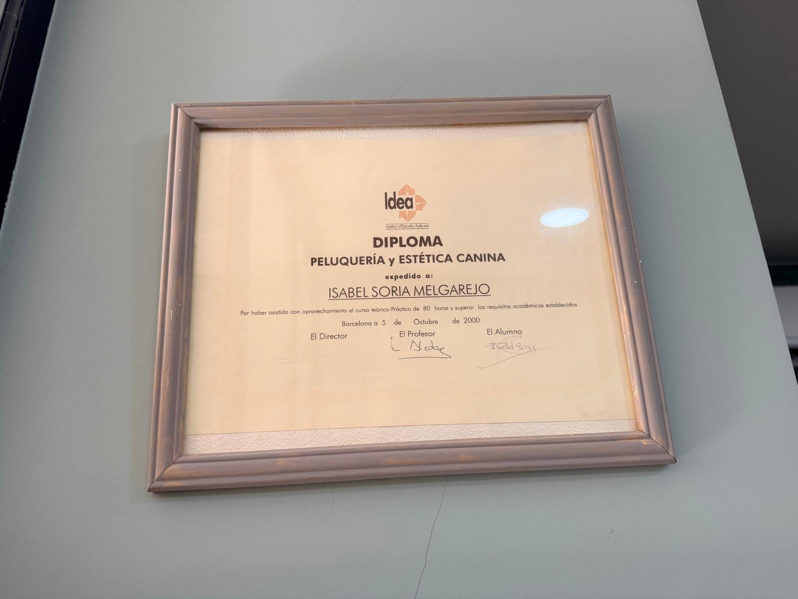 Diploma en Peluquería y Estética Canina expedido por Idea Institut d'Estudis Aplicats a Isabel Soria Melgarejo